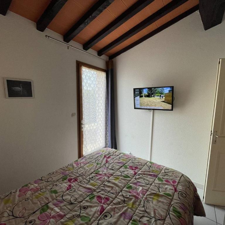 Villa 3 pièces climatisée avec jardin, proche plage, piscine, parking, et animaux autorisés - Saint Cyprien - FR-1-106-32 - Villa - 9