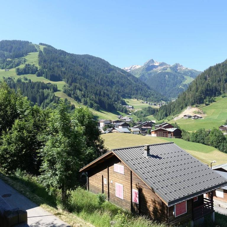 Chalet 4 chambres pour 6 pers, proche village, terrasse, skis - Chalet mit 3 Schlafzimmern - 11