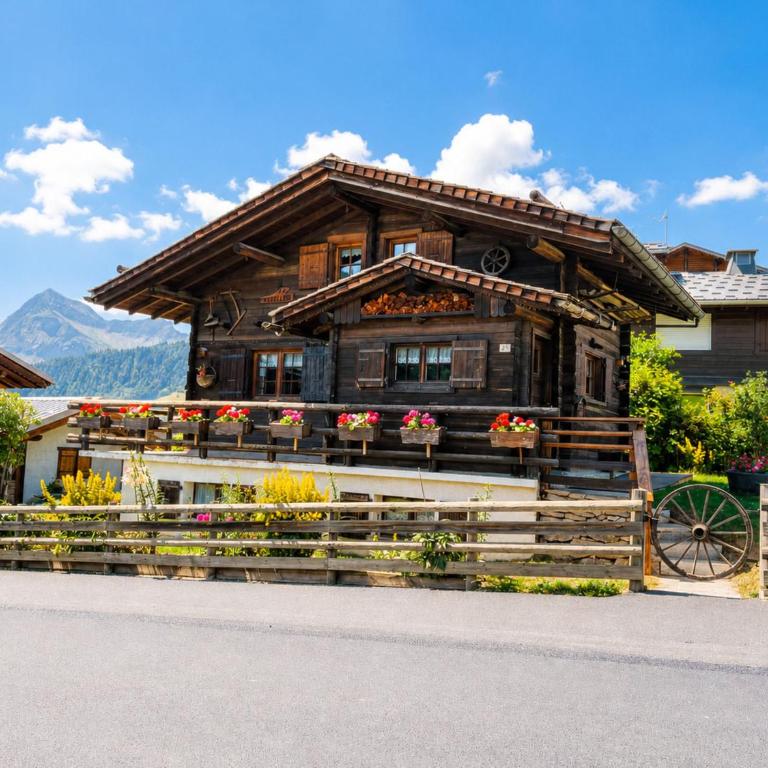 Chalet savoyard cosy au cœur du village, proche des pistes - Appartement 2 Chambres - 14