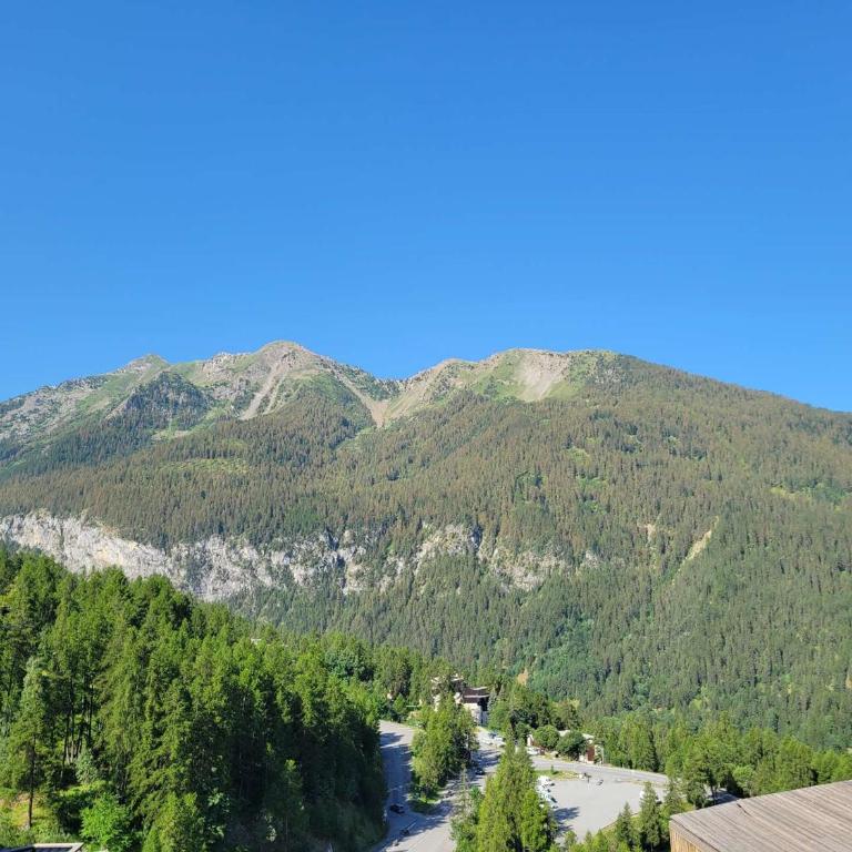 Appartement spacieux au centre des Orres 1650, 3 chambres, pour 6/8 personnes - FR-1-322-521 - Apartment - 12