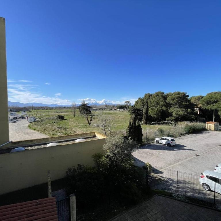 Studio cabine pour 4 pers, proche plage, animaux admis - Saint-Cyprien - FR-1-106-91 - Appartement - 12