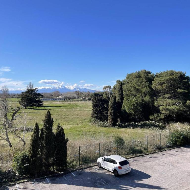 Studio cabine pour 4 pers, proche plage, animaux admis - Saint-Cyprien - FR-1-106-91 - Appartement - 14