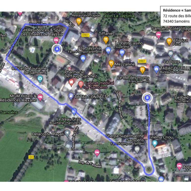 Studio cosy au centre de Samoëns, animaux acceptés - FR-1-624-183 - Estudio - 19