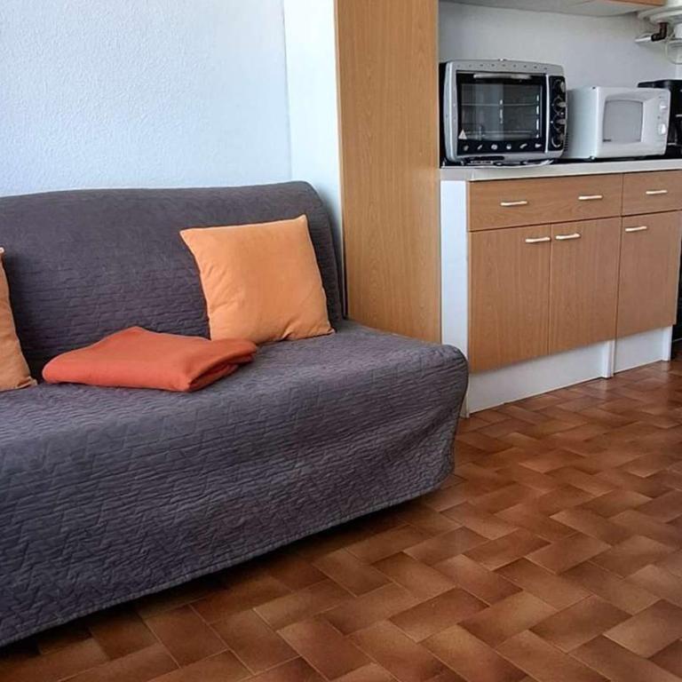 Studio accueillant, animaux admis - 2 pers. - FR-1-571-75 - Appartement - 9