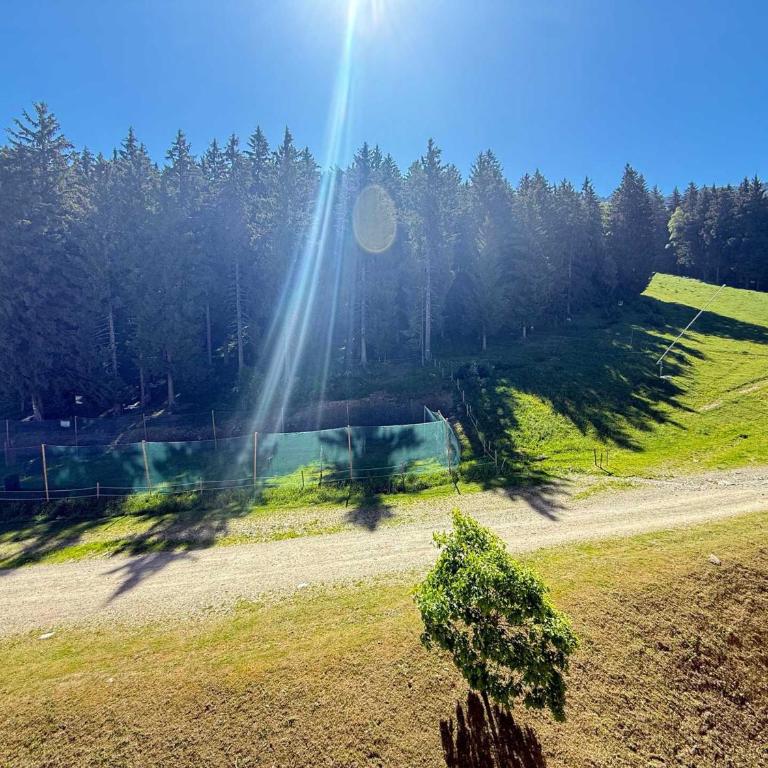 2 pièces au pied des pistes avec balcon, animaux admis - Appartement 1 Chambre - 9