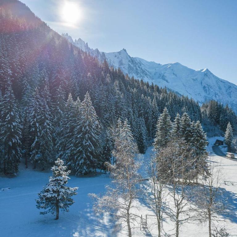 Chalet familial Savoyard près du Mont-Blanc - Accueille 10 pers. - FR-1-343-258 - Chalet - 19