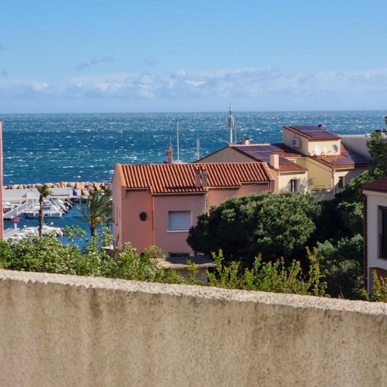 Studio climatisé Banyuls-sur-Mer avec parking, proche mer - FR-1-309-74 - Studio - 23