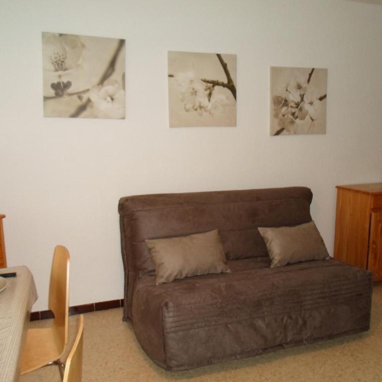 Appartement cosy avec terrasse et animaux admis à Balaruc-les-Bains - FR-1-503-38 - Studio - 9