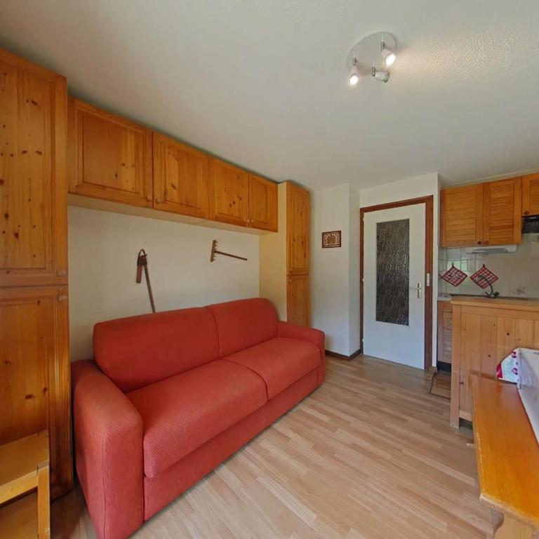 Studio avec Terrasse et Casier à Ski - Le Grand-Bornand - FR-1-241-95 - Apartment (4 Erwachsene) - 16