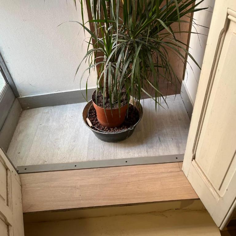 A la porte Saint Vincent et la mer - Apartment mit 1 Schlafzimmer - 19