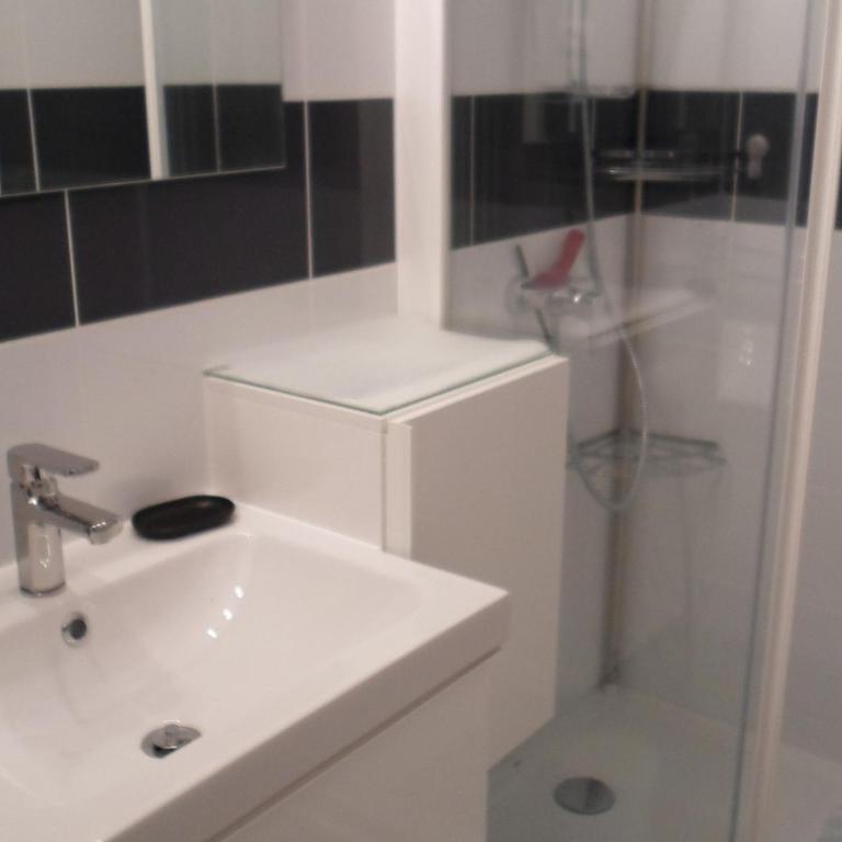 Appartement 2* proche thermes, vue étang, climatisé - FR-1-503-50 - Studio - 11