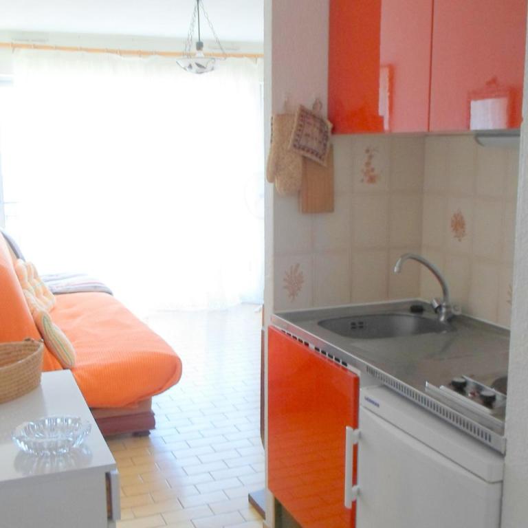 Studio lumineux avec terrasse et WIFI, animaux admis - FR-1-503-60 - Monolocale - 9