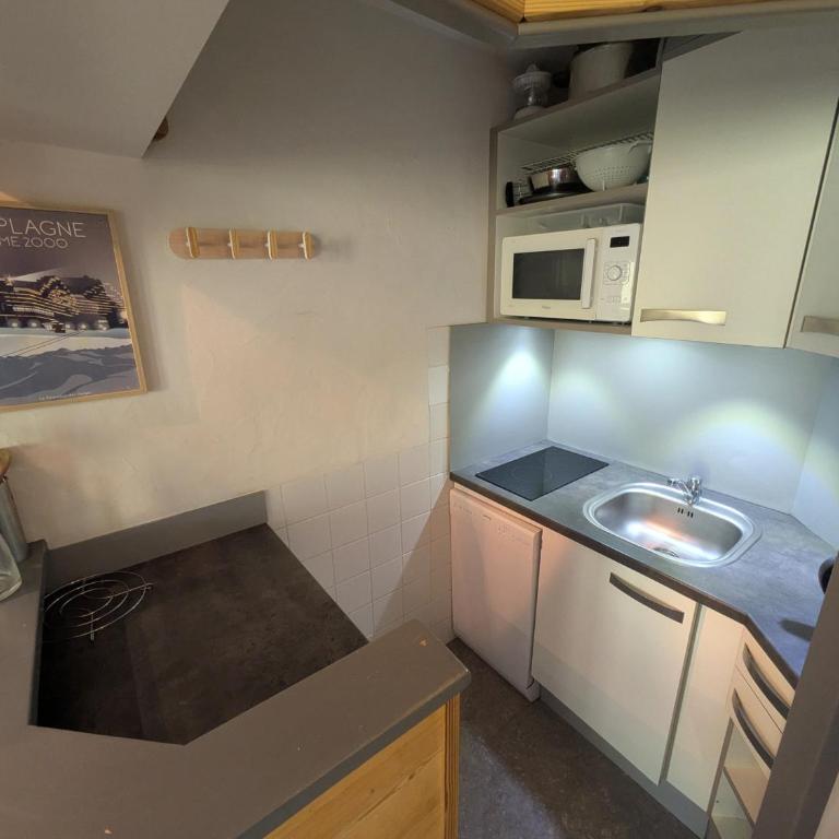 Studio cosy avec accès direct pistes, vue piste, animaux admis - FR-1-181-2563 - Studio - 13