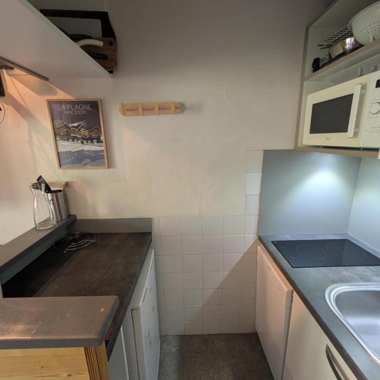 Studio cosy avec accès direct pistes, vue piste, animaux admis - FR-1-181-2563 - Studio - 14