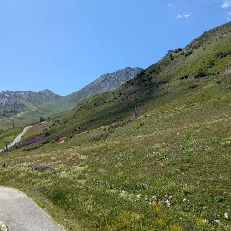 Studio cosy avec accès direct pistes, vue piste, animaux admis - FR-1-181-2563 - Studio - 16