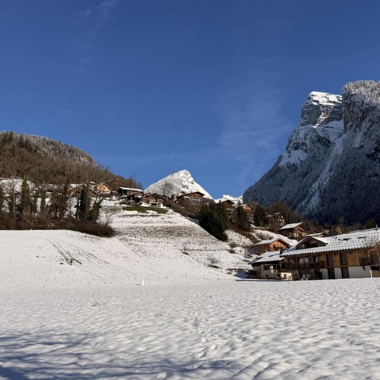 Grand chalet à Samoëns pour 11 personnes avec Wifi - FR-1-846-7 - Chalet - 27