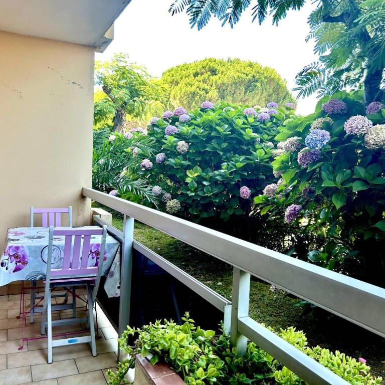 Appartement T2 avec Parking, Proche Plage et Commerces - Bormes-les-Mimosas - FR-1-251-519 - Appartement - 1