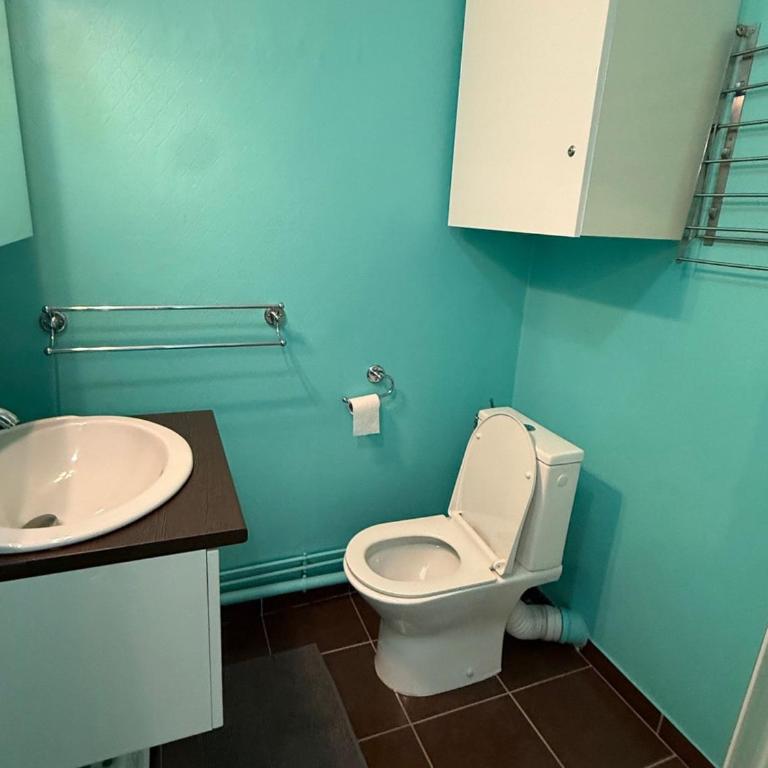 Studio cabine 24m² au pied des pistes avec balcon - Appartement 1 Chambre - 5