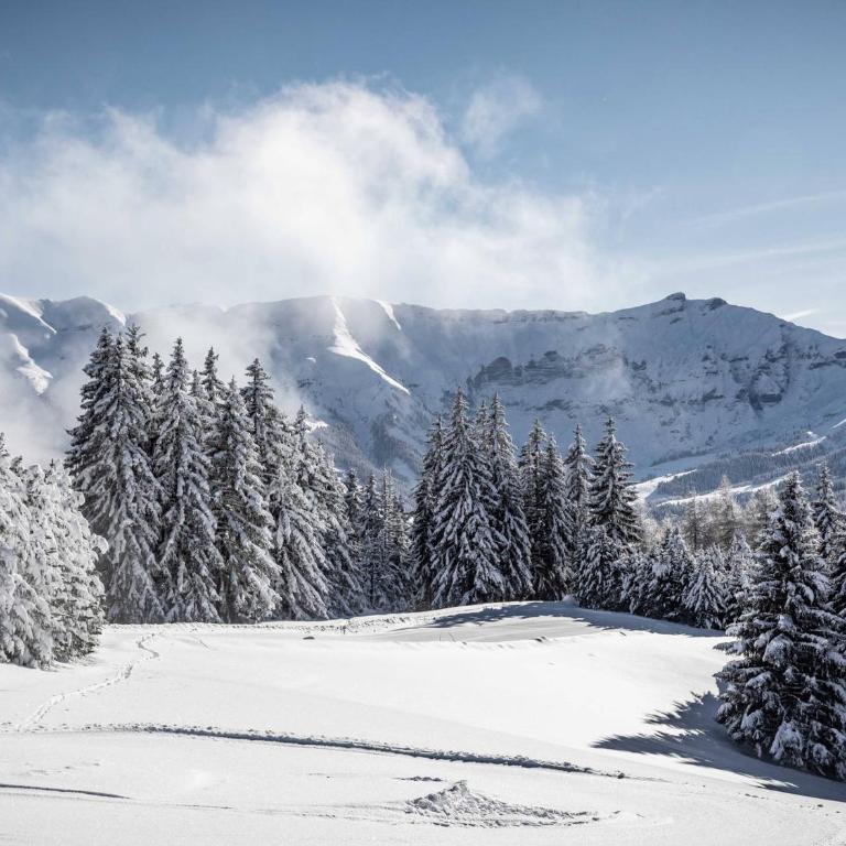 Appartement chic alpin de 100m² avec balcon et garage, proche centre Megève - FR-1-569-100 - Apartment - 16
