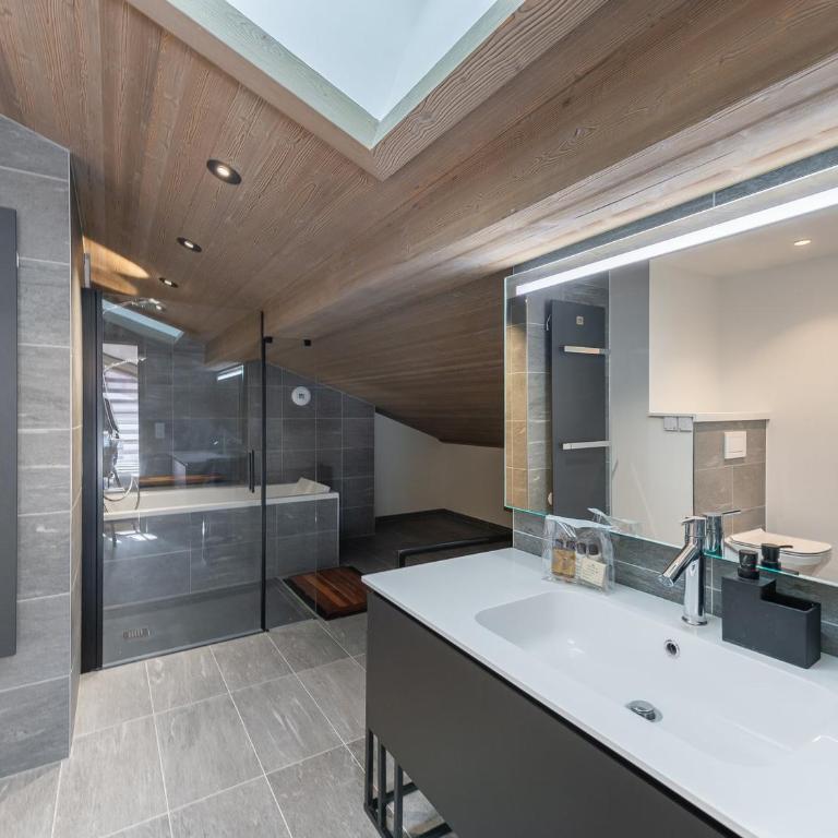 Penthouse lumineux avec piscine à Megève, pour 10 personnes - FR-1-569-68 - Appartement - 9