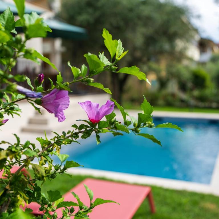 Villa Acqua Blu Gorgeous villa with ample garden - Villa - 2