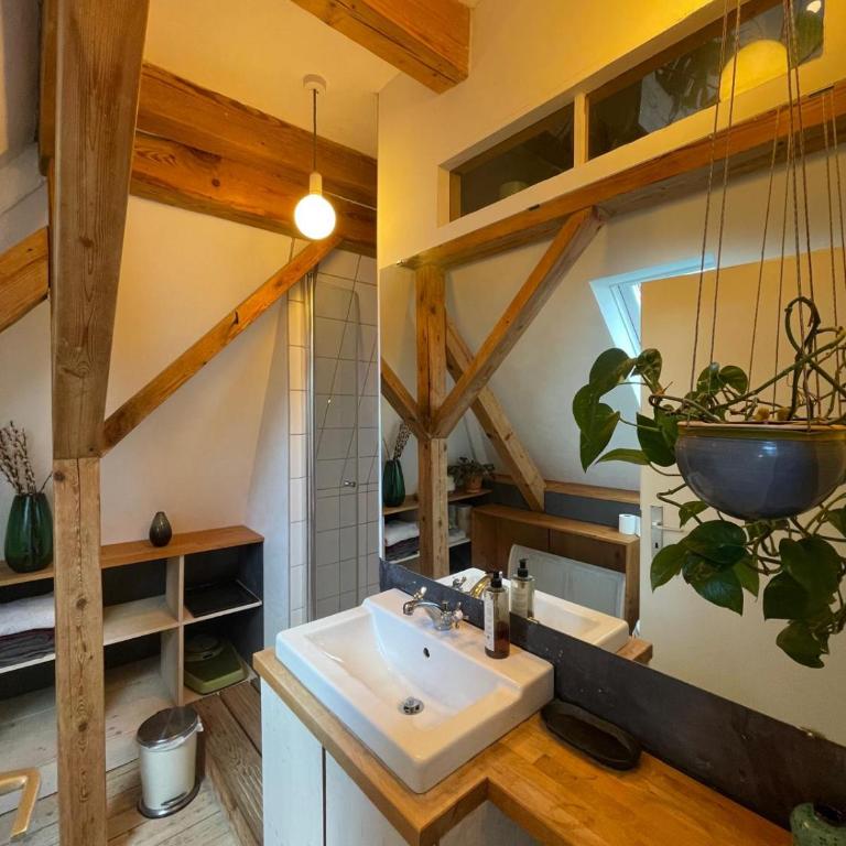 Lichtdurchflutetes Studio in Isarnähe - One-Bedroom Apartment - 10