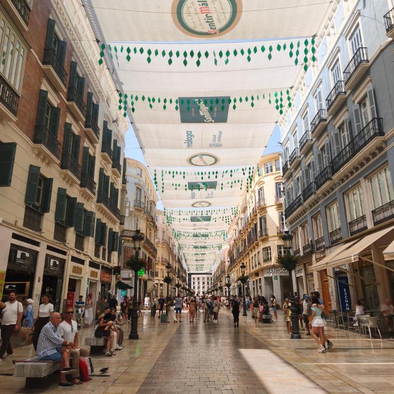 Elegancia y confort en el corazón de Málaga - Two-Bedroom Apartment with Balcony - 38