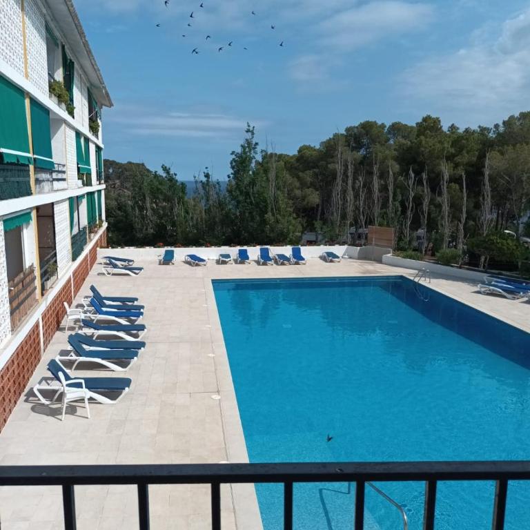 Acogedor y Tranquilo frente a la Playa con Piscina Wifi Parking - Apartamento de 1 dormitorio - 17