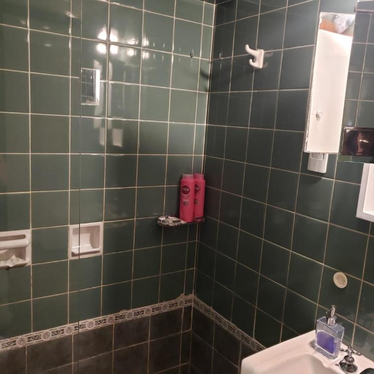 Departamento de Antonia centro - One-Bedroom Apartment - 12