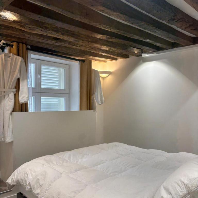 Private Entrance Designer Loft Place des Vosges - Appartement 1 Chambre - 13