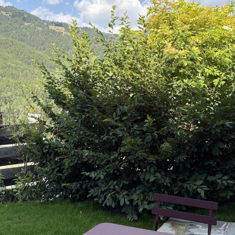 Au pied du Granon, Serre Chevalier - Chantemerle - Appartement 3 Chambres - 7
