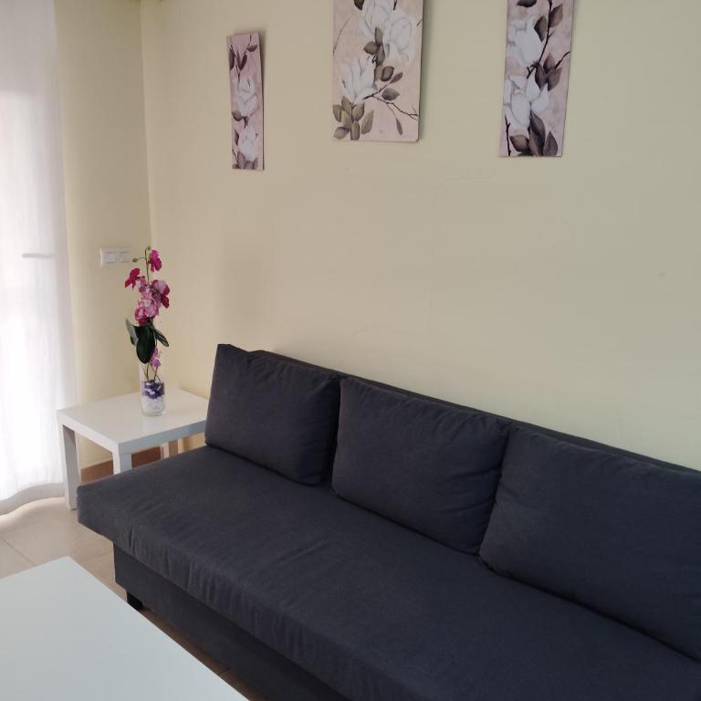 C/Loft terrazas de la Marina - Apartamento - 5