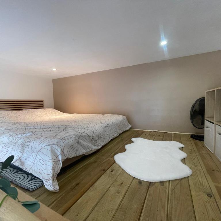 Appartement studio plein centre - Appartement 1 Chambre - 4