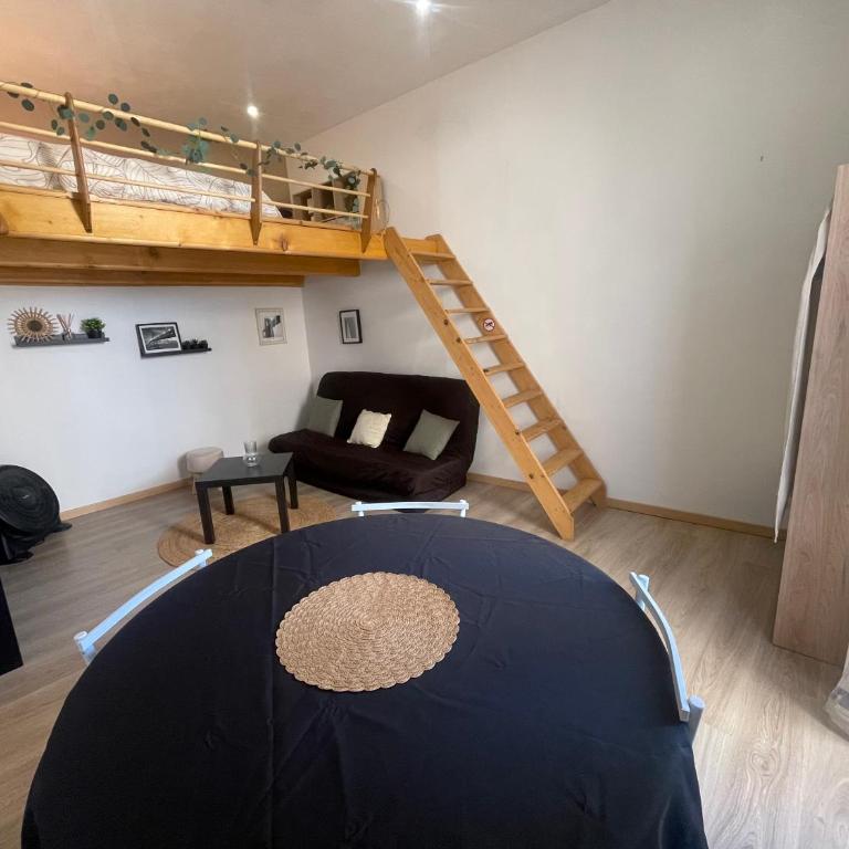 Appartement studio plein centre - Appartement 1 Chambre - 1