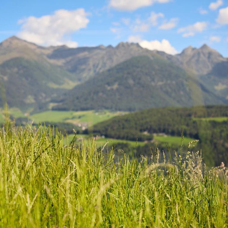 EGGA nature deluxe apartments - Panorama & Wellness, Kiens, Pustertal - Casa con 2 Camere da Letto - 29