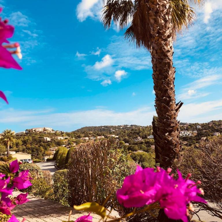 Le Nid du Golfe - Apartamento de 3 dormitorios - 26