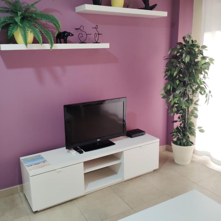 C/Loft terrazas de la Marina - Apartamento - 6