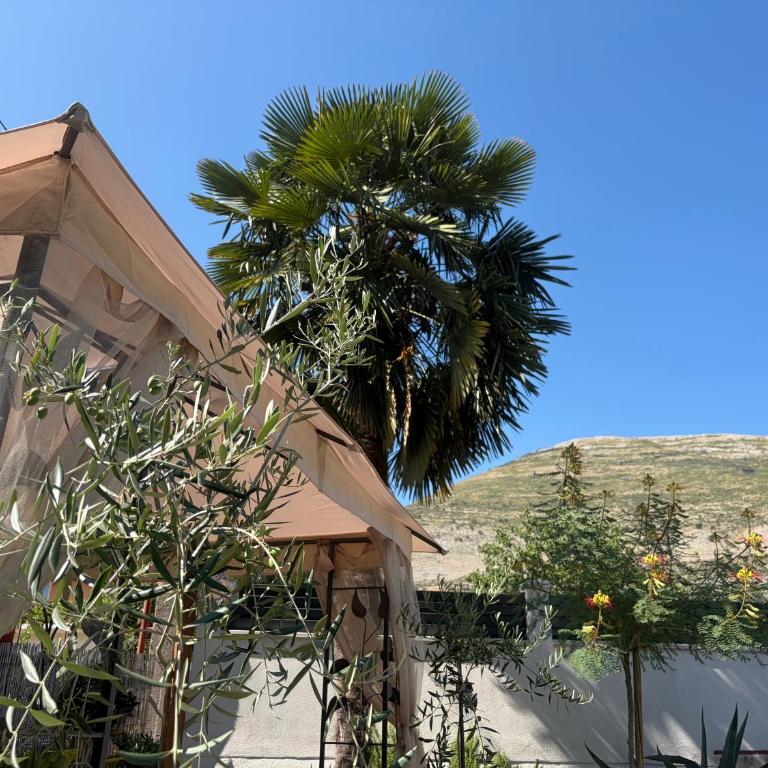 Apartments Ratkovic - Apartman - 14