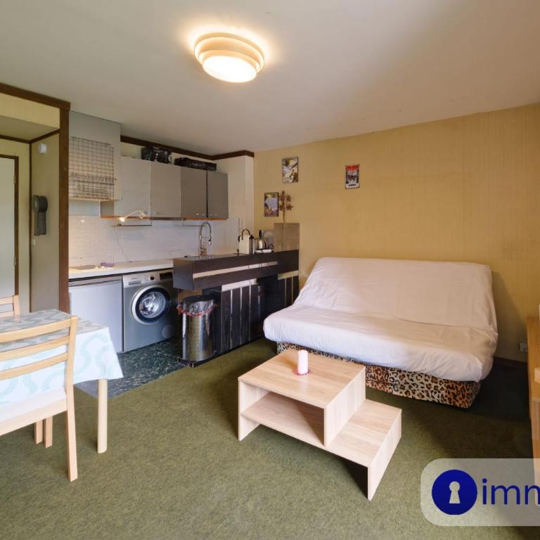 Studio à 400 mètres à pied de la télécabine du Riou - Studio - 19