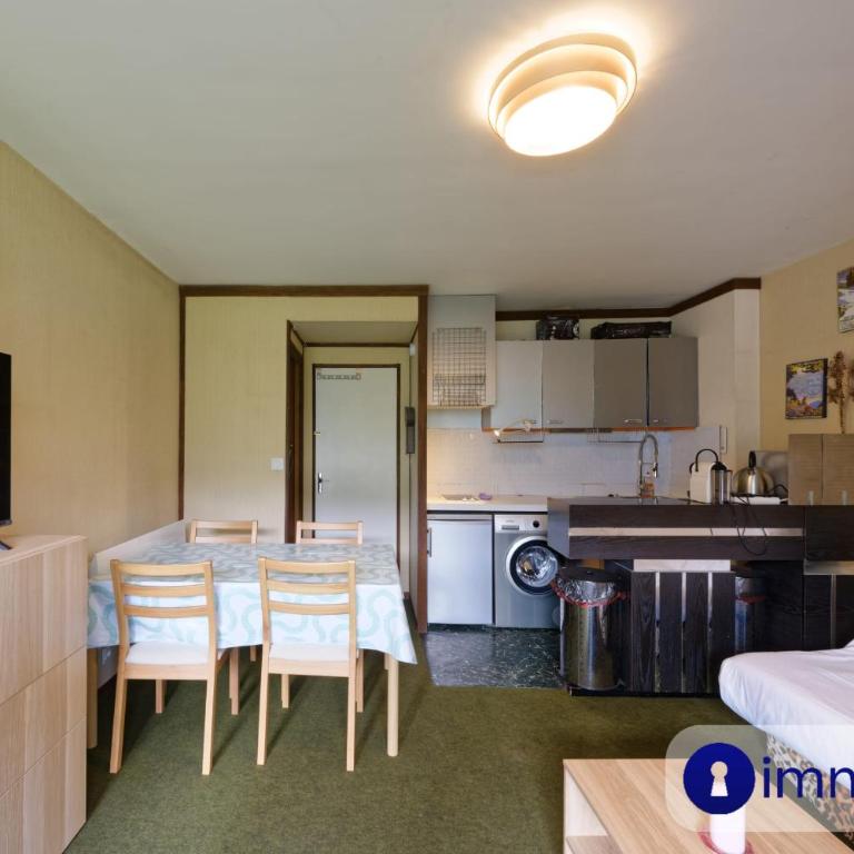 Studio à 400 mètres à pied de la télécabine du Riou - Studio - 20