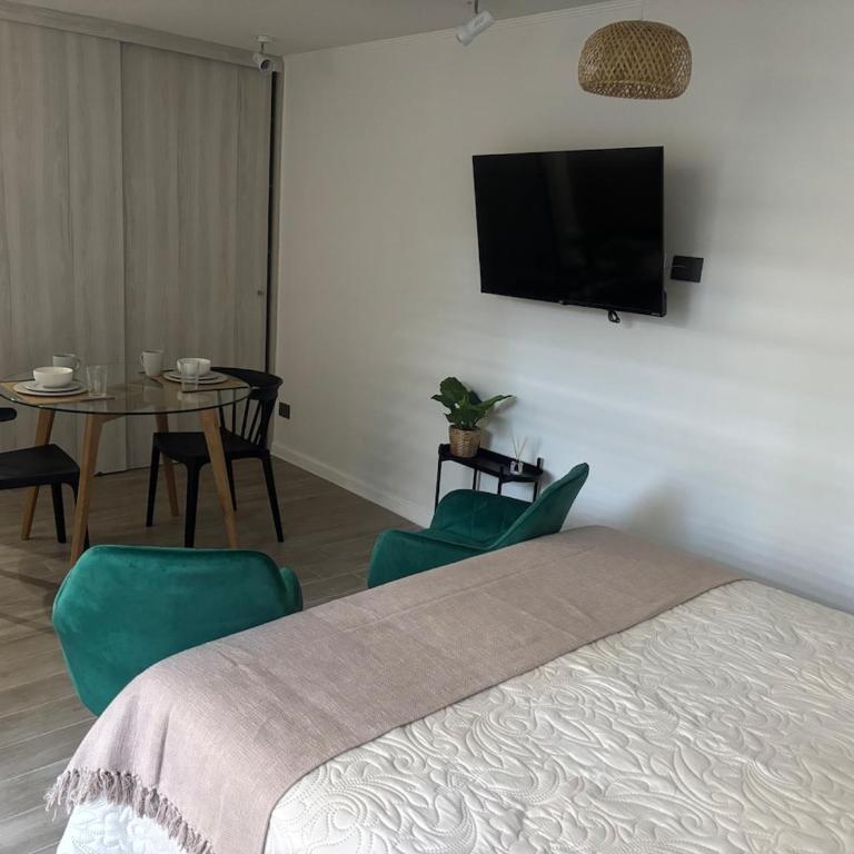 Cerca Estadio Nacional - One-Bedroom Apartment - 3