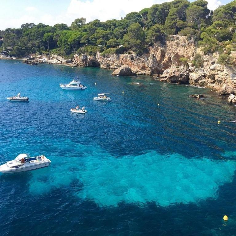 Antibes entre Nice-Cannes - Appartement 1 Chambre - 3