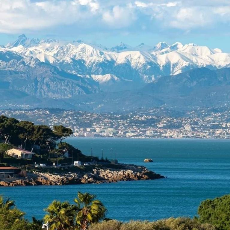 Antibes entre Nice-Cannes - Appartement 1 Chambre - 5