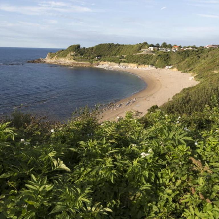T2 Acotzeta classé 3 étoiles Saint Jean de Luz quartier Acotz près des plages - Appartement 1 Chambre - 28