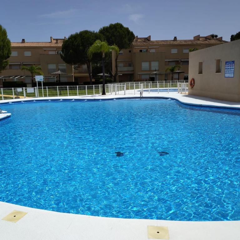 Indo Real OGGOB com - One-Bedroom Apartment - 87