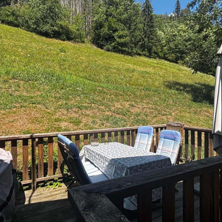 Le chalet de Bernoline vaste appartement tout confort - Appartement avec Terrasse - 50