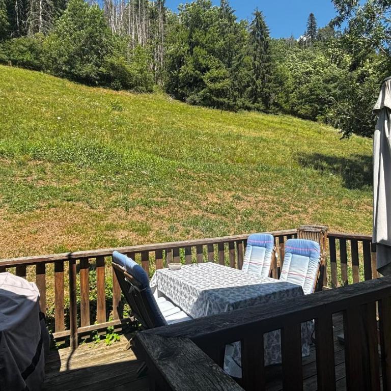 Le chalet de Bernoline vaste appartement tout confort - Appartement avec Terrasse - 52