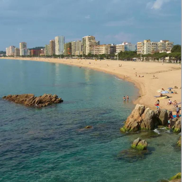 Beachfront Bellavista - Apartment mit 1 Schlafzimmer - 2