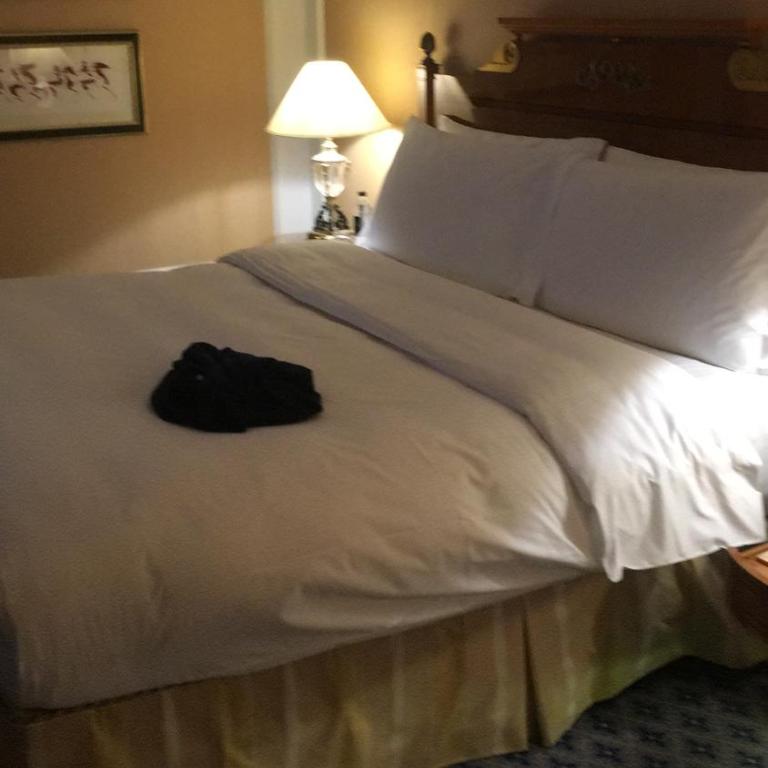 Piazza Farnese - Appartamento con 2 Camere da Letto - 13