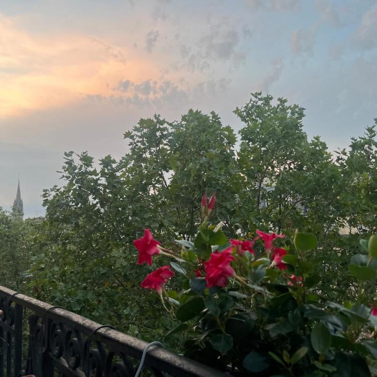 Bastille - Bright Haussmann-style 3-bedroom apartment with balcony - Apartamento Deluxe - 9